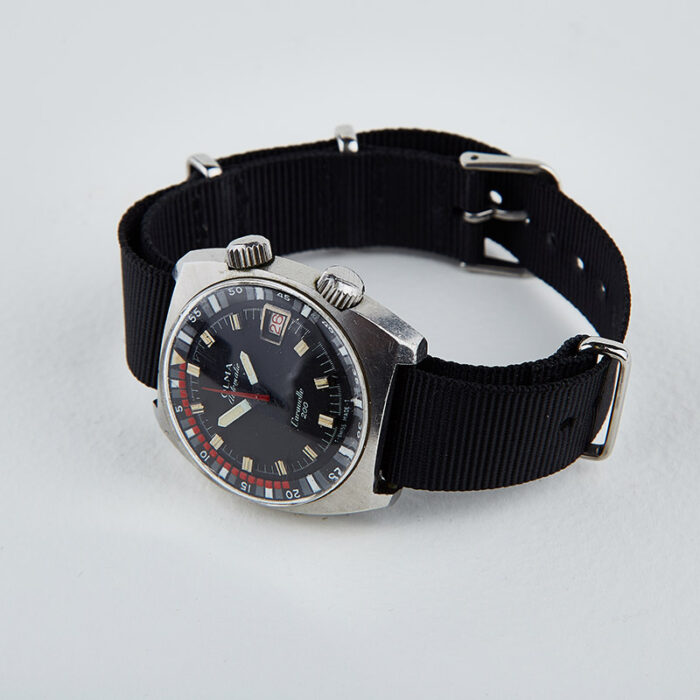 Olma Caravelle - Image 2
